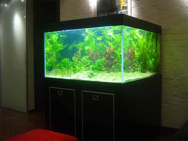 Напольный аквариум